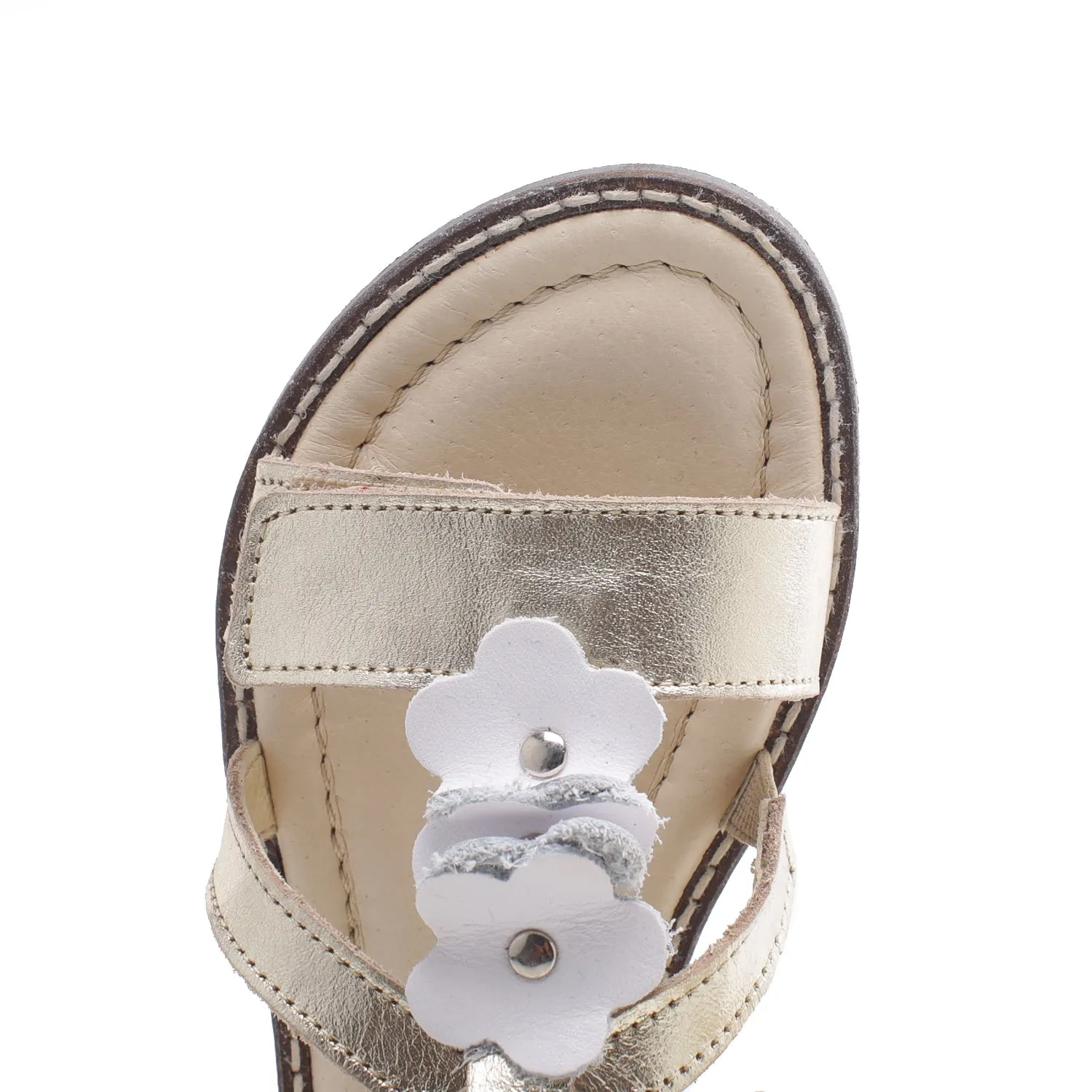 (2577) Emel velcro sandals  gold flowers