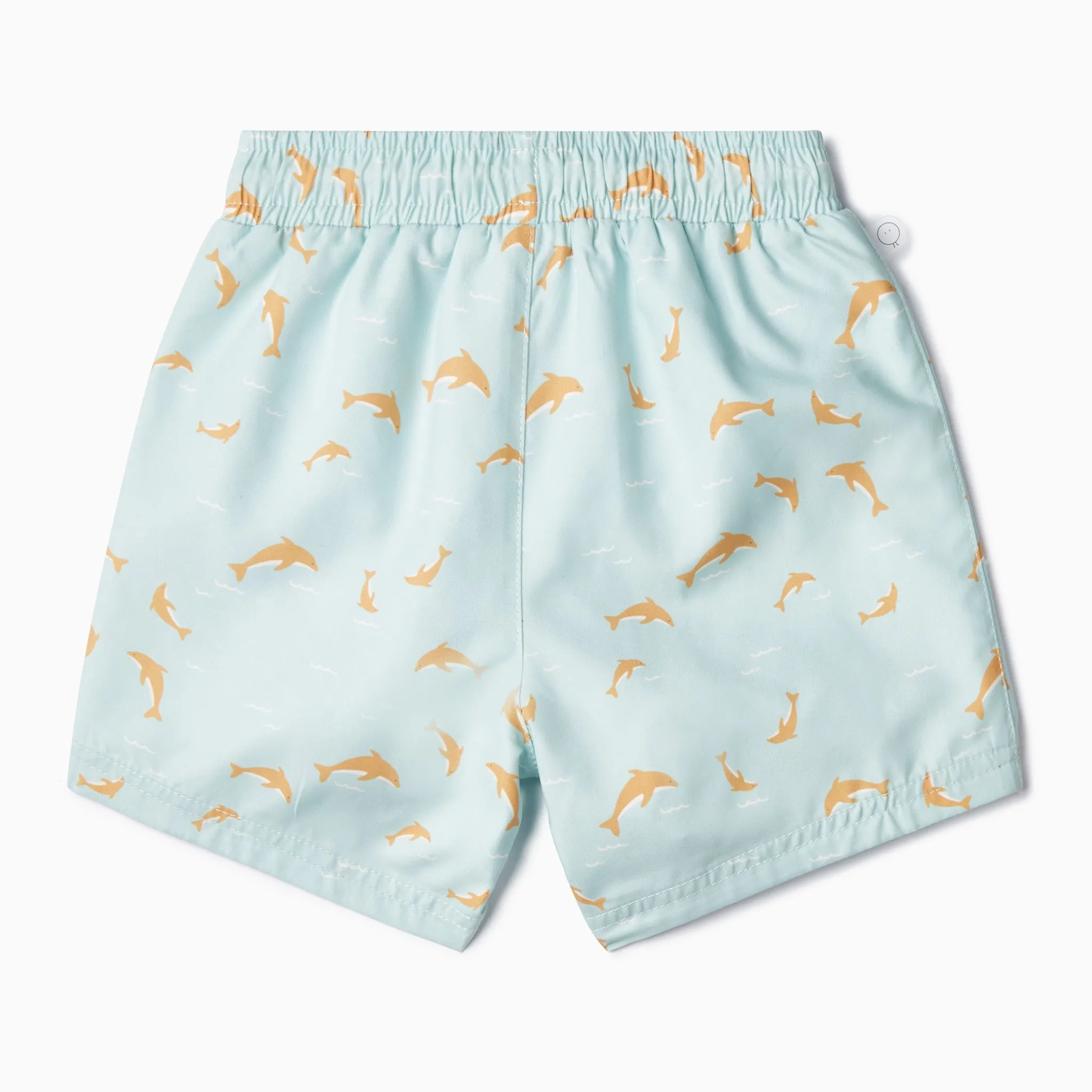 Dolphin Board Shorts