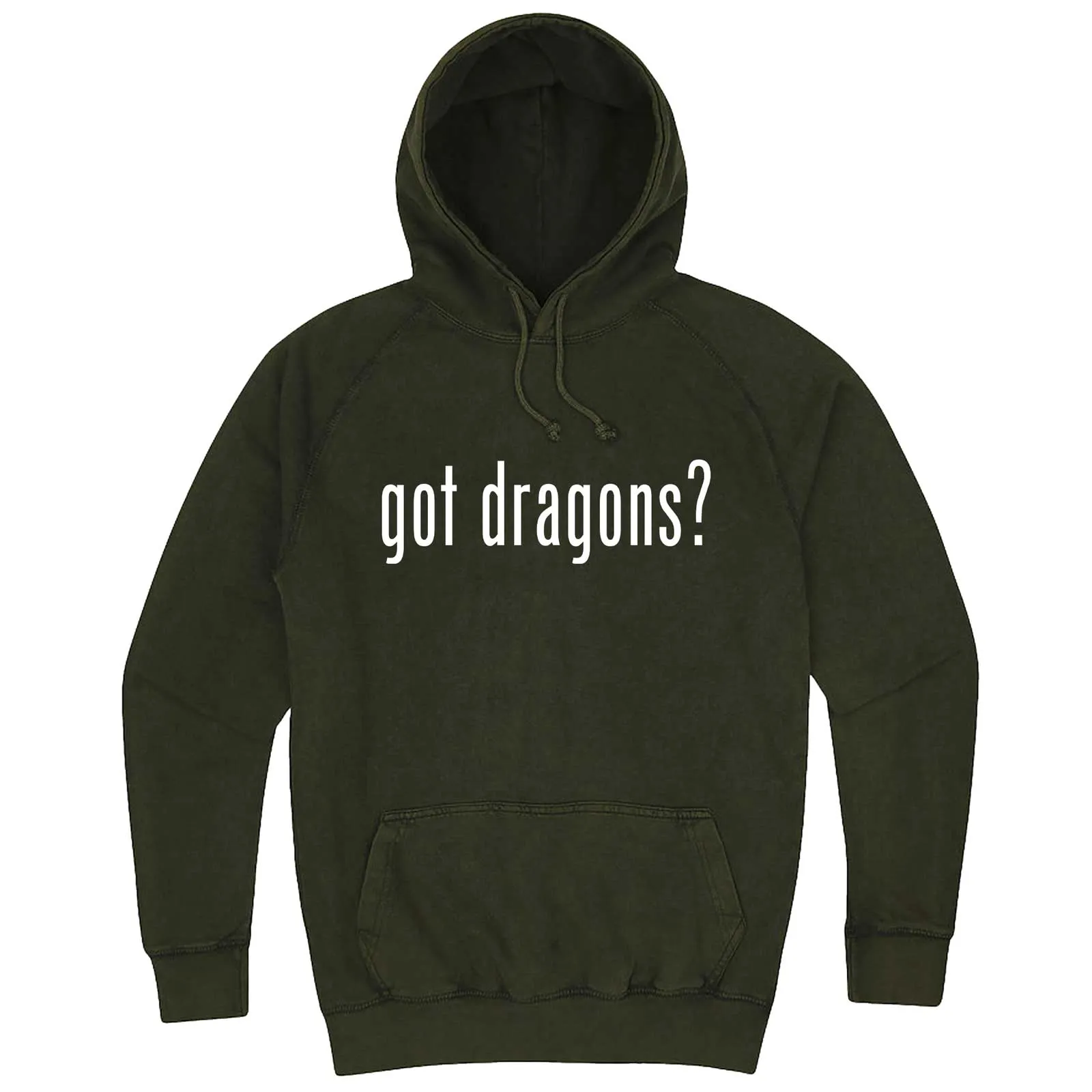 "Got Dragons?" hoodie